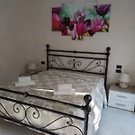 Il Tulipano